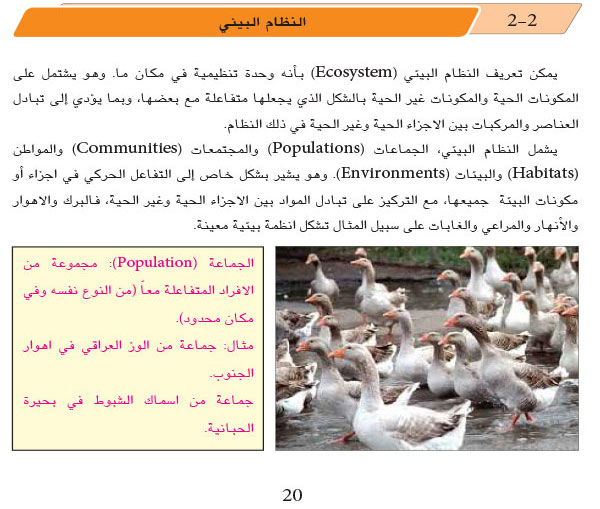 2-2: النظام البيئي