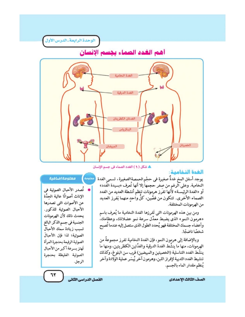 الدرس الأول: التنظيم الهرموني في الإنسان