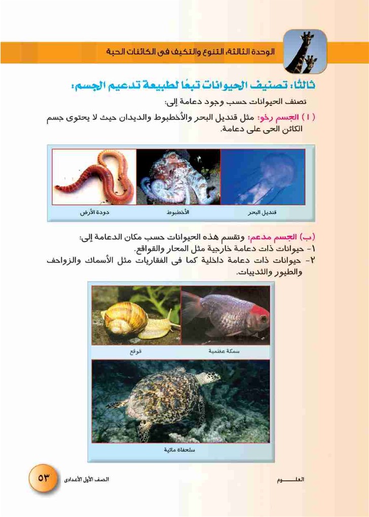 الدرس الأول: تنوع الكائنات الحية ومبادئ تصنيفها