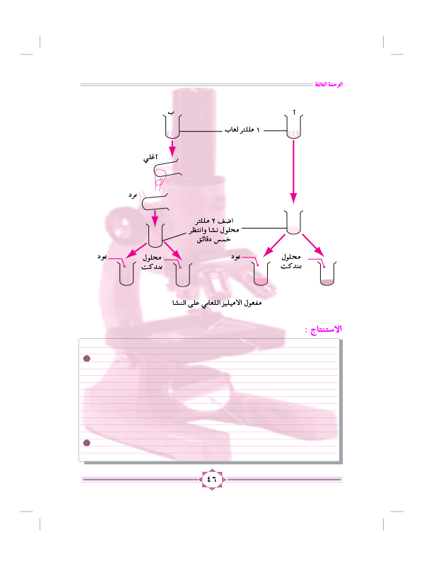 نشاط (7): هضم النشا