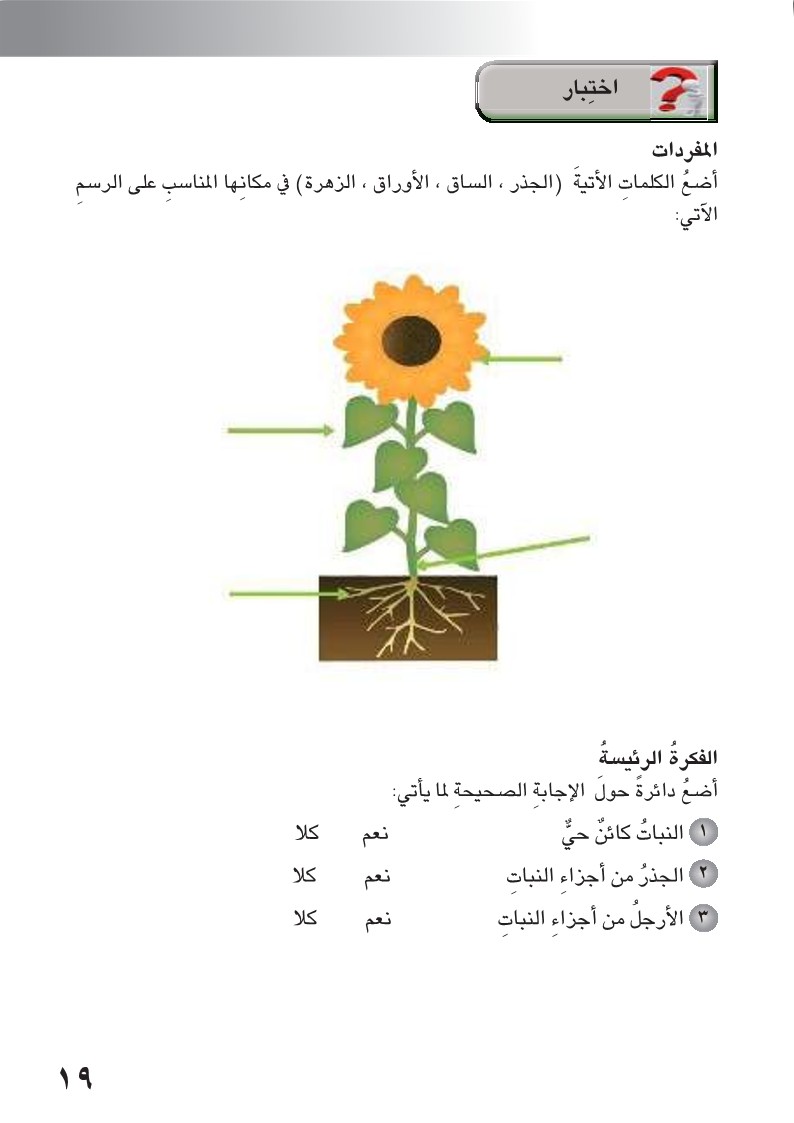 الدرس الأول: أجزاء النباتات