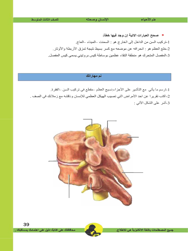 الفصل الثاني: الجهاز الهيكلي (العظمي)