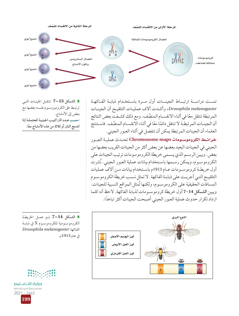 ( تعدد المجموعة الكروموسوميه في نبات القمح يؤدي الى )