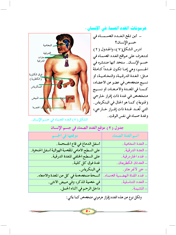 التنظيم الهرموني في الإنسان