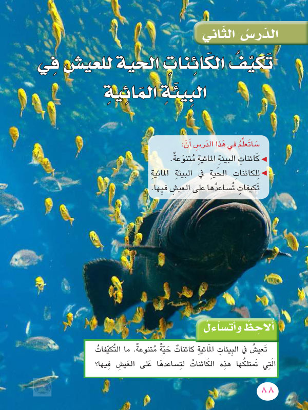 الدرس الثاني: تكيف الكائنات الحية للعيش في البيئة المائية