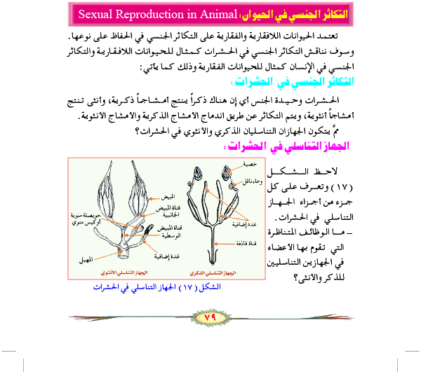 التكاثر الجنسي في الحيوانات