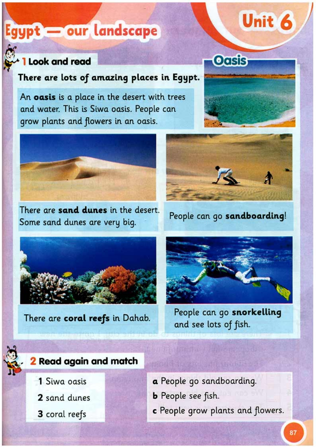Egypt - our landscape