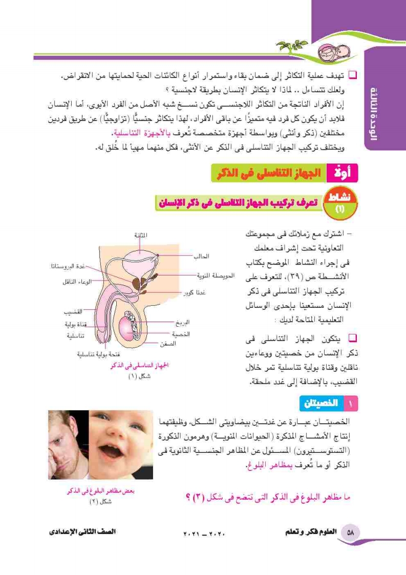 التكاثر في الانسان أحمد الحوت التكاثر في الأنسان العلوم 2 ثاني اعدادي المنهج المصري 