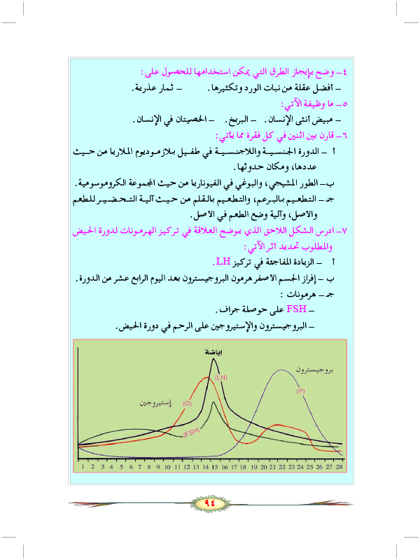 التكاثر الجنسي في الحيوانات