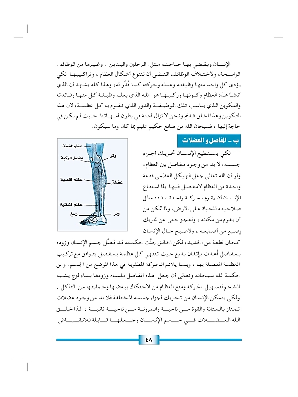 التفكر في خلق الإنسان