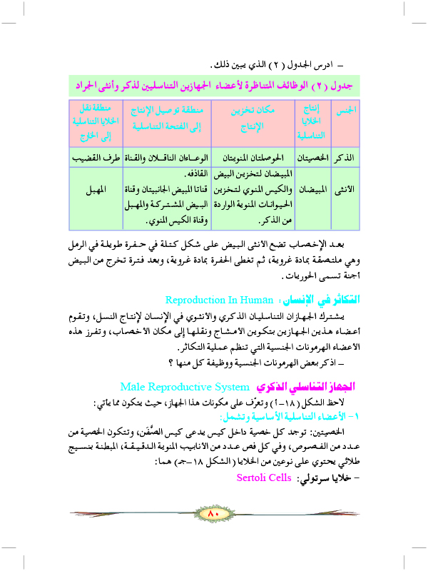 التكاثر الجنسي في الحيوانات