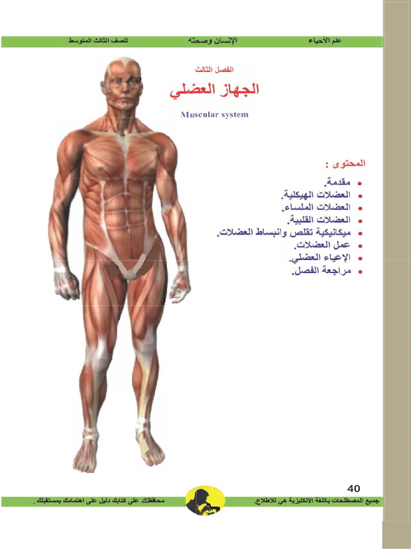 الفصل الثالث: الجهاز العضلي