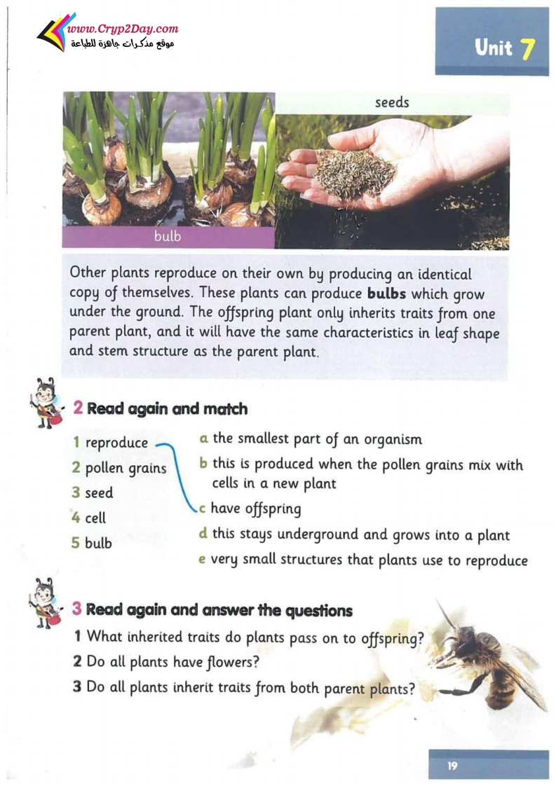 CLIL: Science: Reproduction in plants