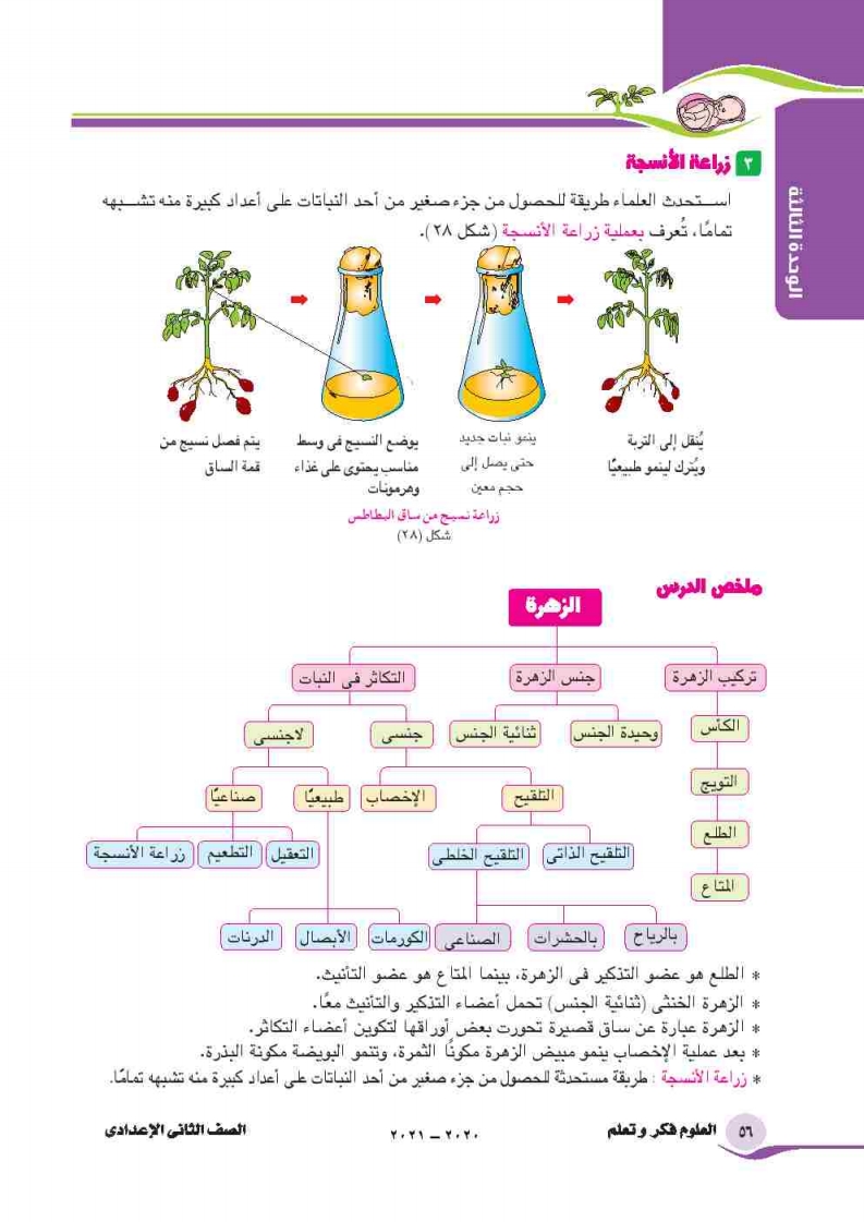 االدرس الأول: التكاثر في النبات