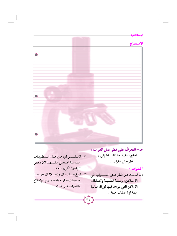 نشاط (4): فطريات من البيئة