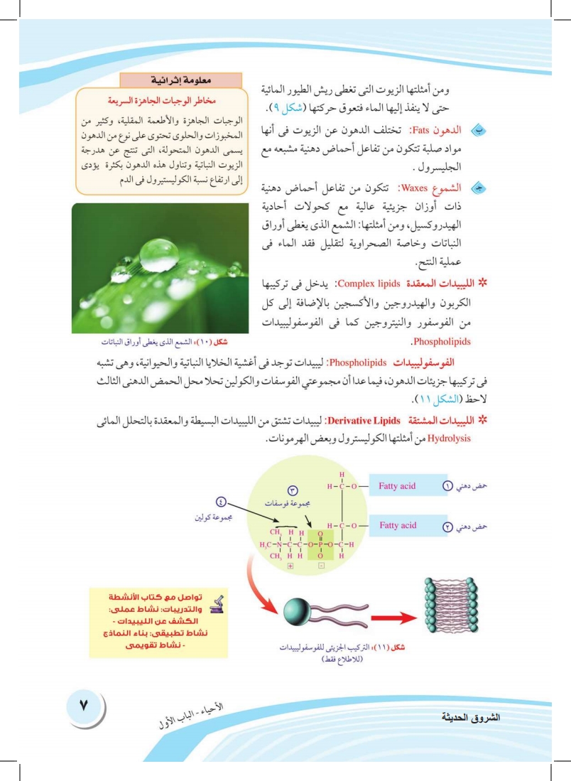 الفصل الأول: التركيب الكيميائي لأجسام الكائنات الحية (الكربوهيدرات والليبدات)