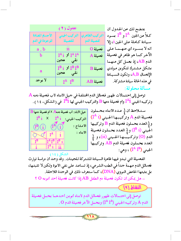 دور الكروموسومات في الوراثة