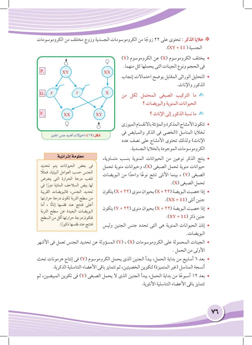 الفصل الثالث: الوراثة الجنسية والأمراض الوراثية