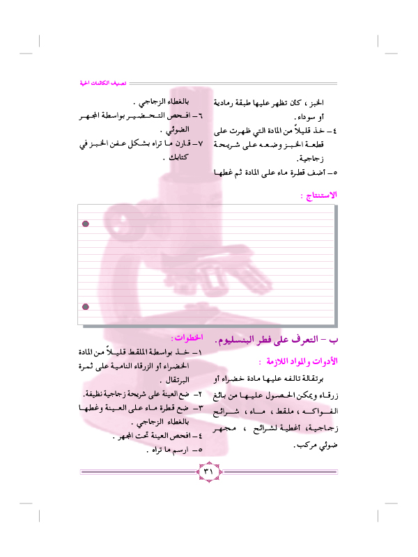 نشاط (4): فطريات من البيئة