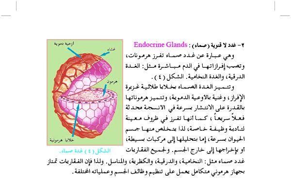 التنظيم الهرموني في الحيون