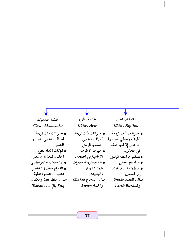 المملكة الحيوانية