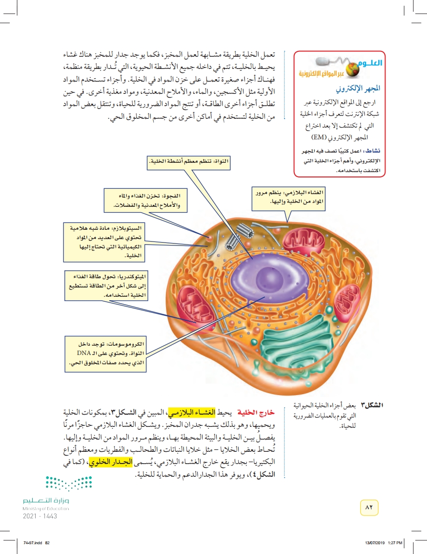 الدرس1: عالم الخلايا