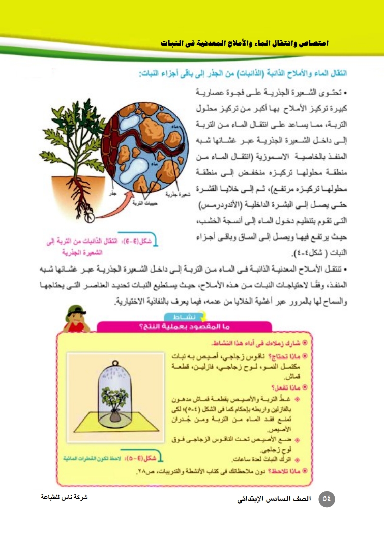 النسيج الذي يقوم بحمل الماء والاملاح داخل النبات