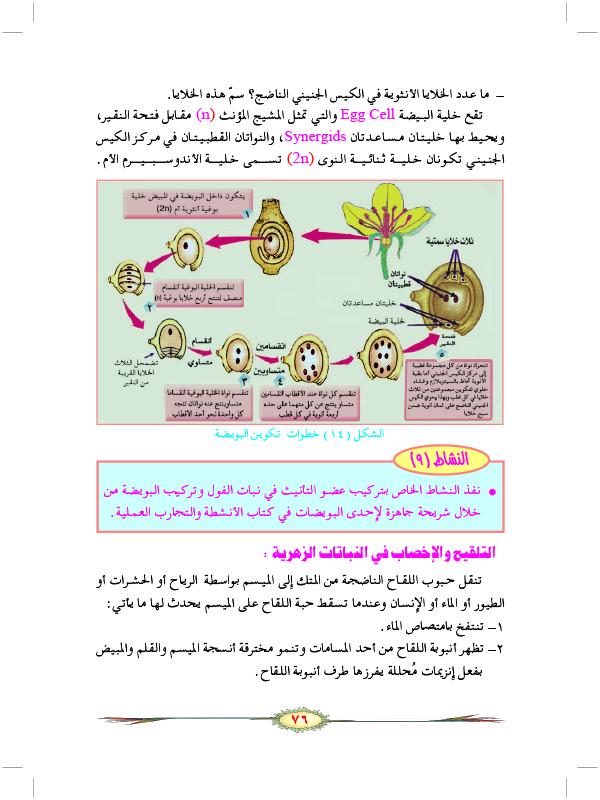 التكاثر الجنسي في النباتات