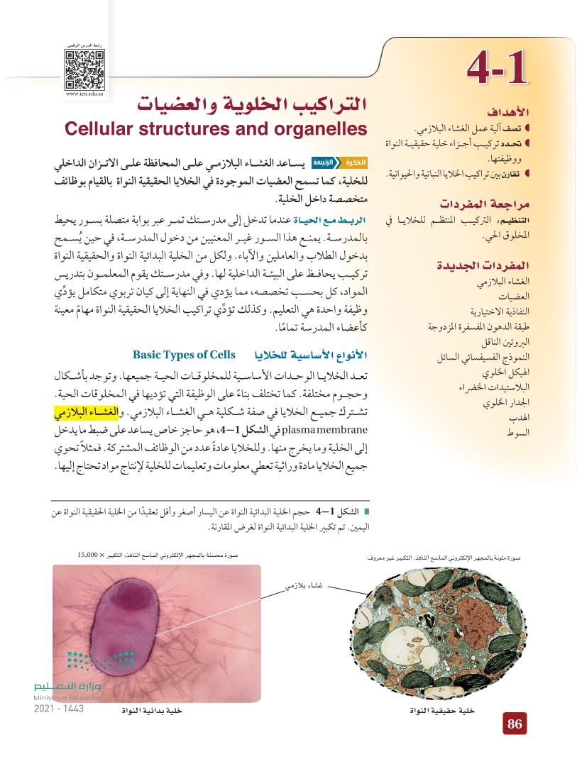 التراكيب الخلوية والعضيات