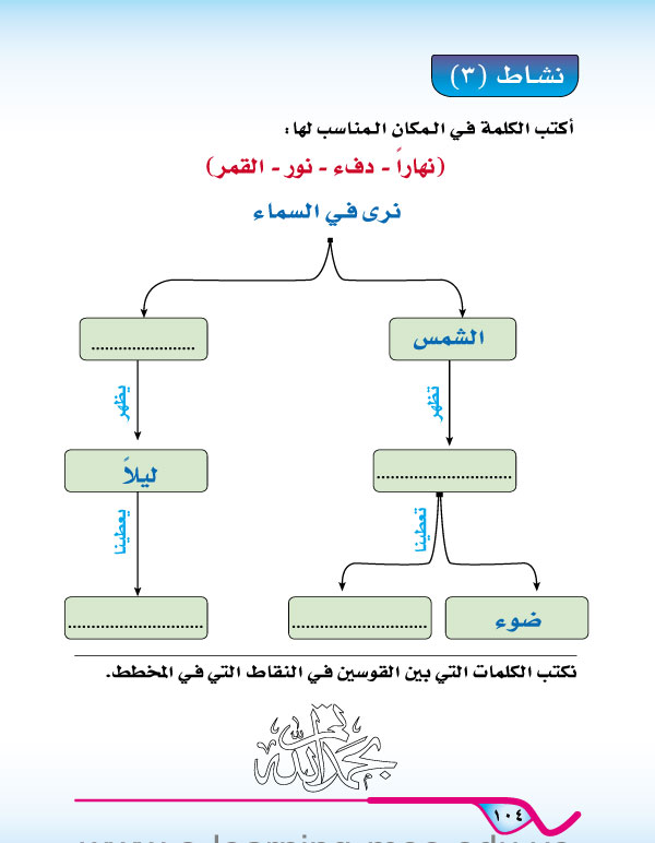 الأنشطة التقويمية