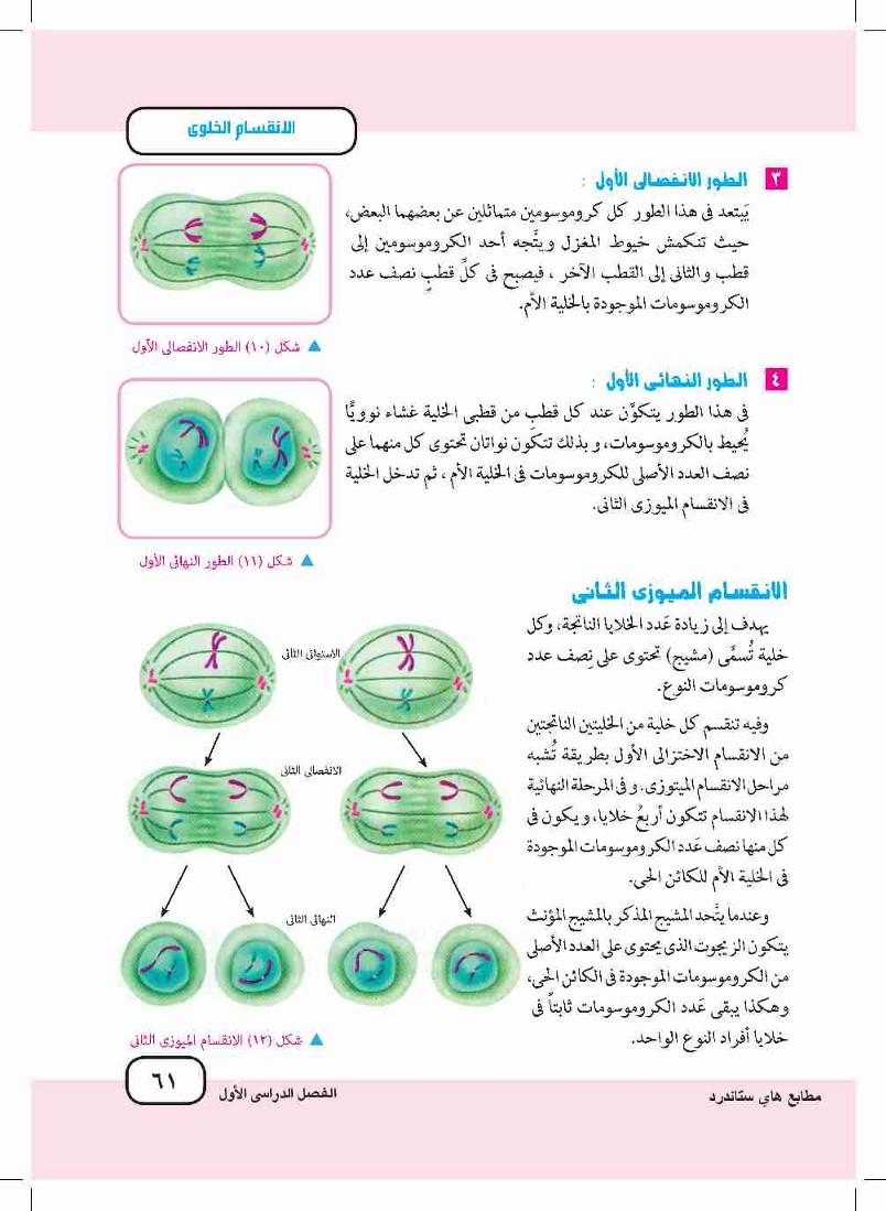 الدرس الأول: الأنقسام الخلوي