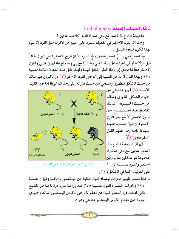 دور الكروموسومات في الوراثة