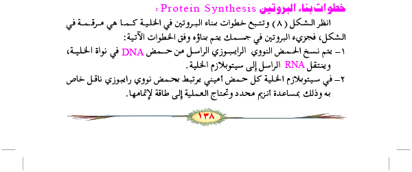 خطوات بناء البروتين