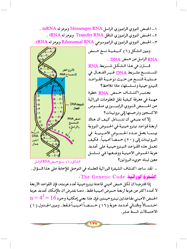 الحمض النووي الرايبوزي