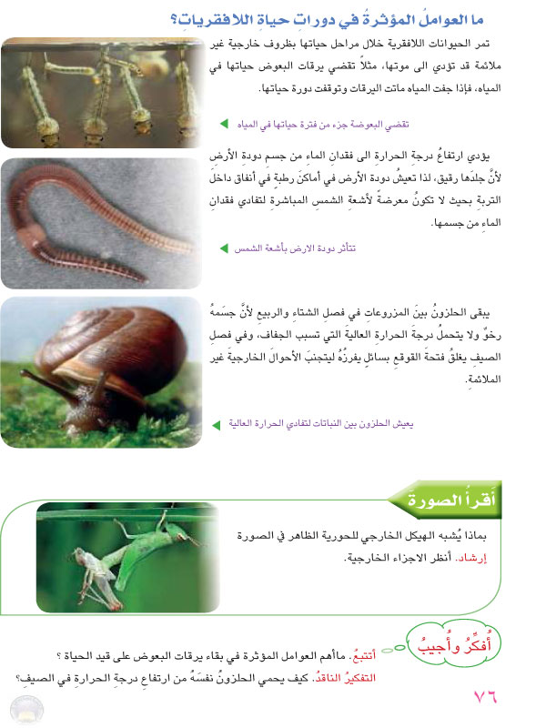 الدرس الأول: دورة حياة الحيوانات اللافقارية