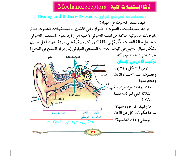 المستقبلات الآلية