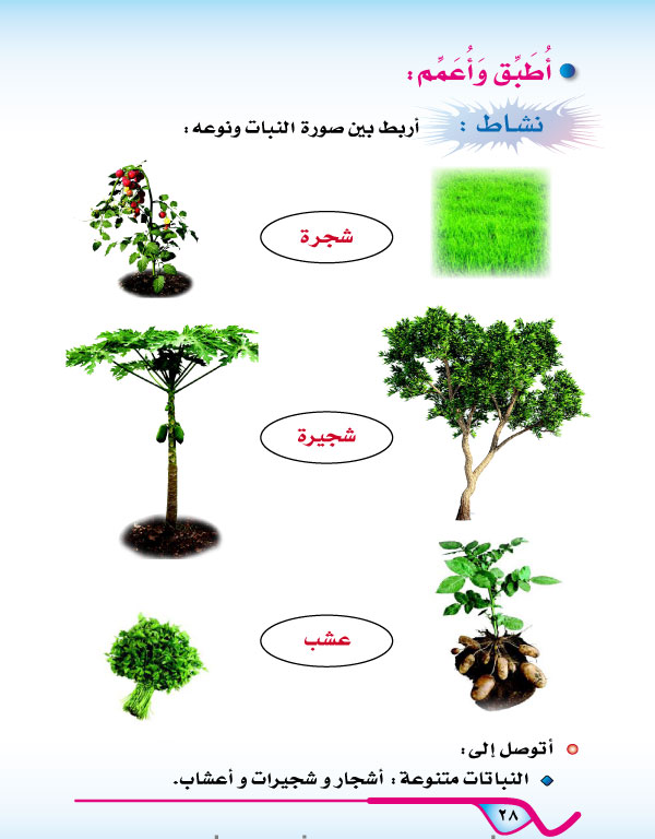 الدرس الأول: النباتات متنوعة