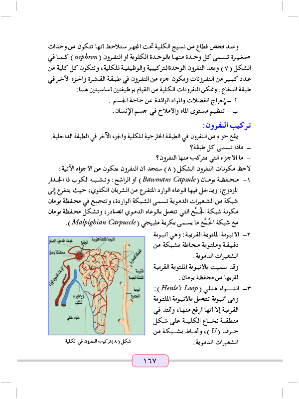 الاخراج في الحيوانات الفقارية(الاخراج في الانسان)