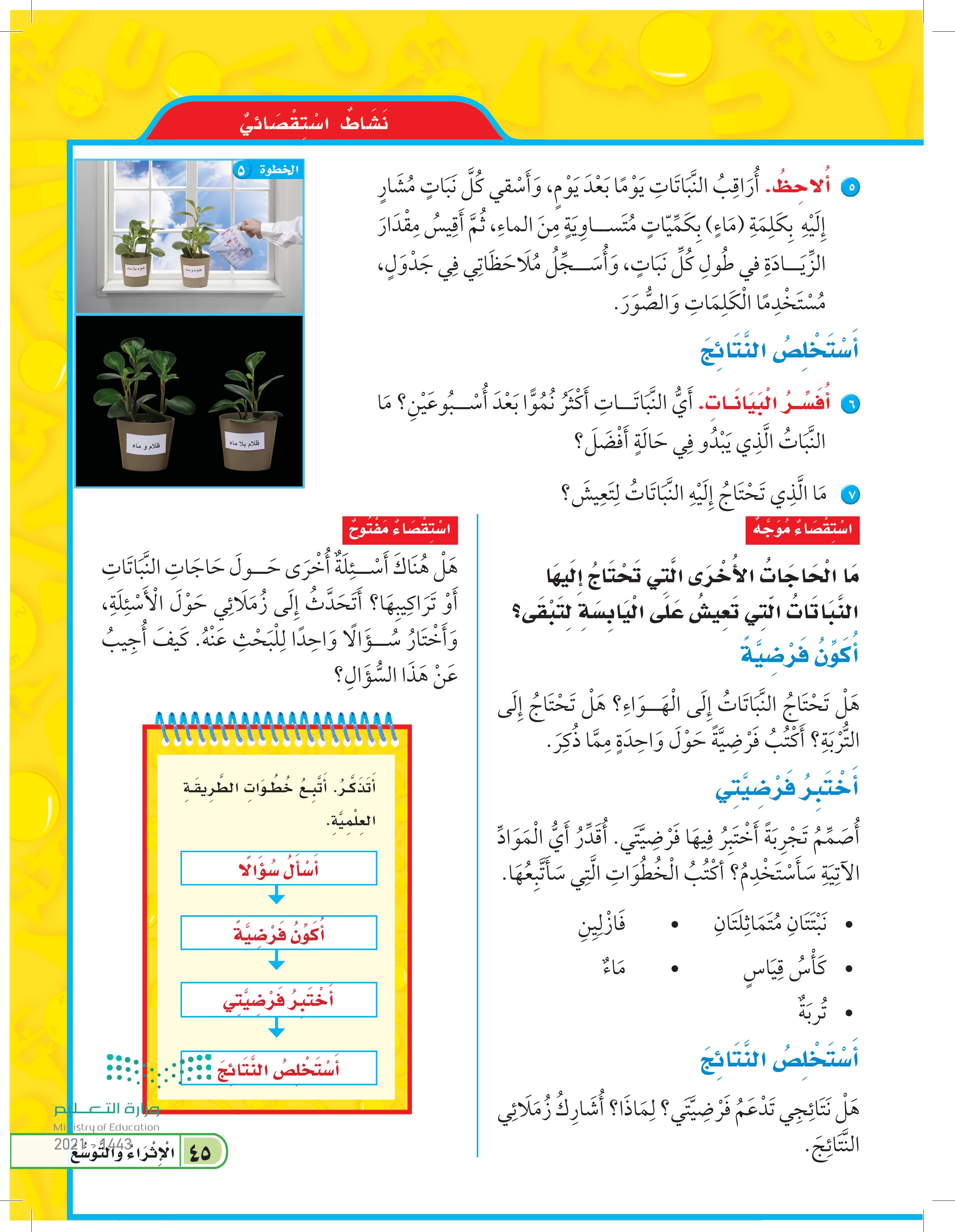 الدرس الثاني: النباتات وأجزاؤها