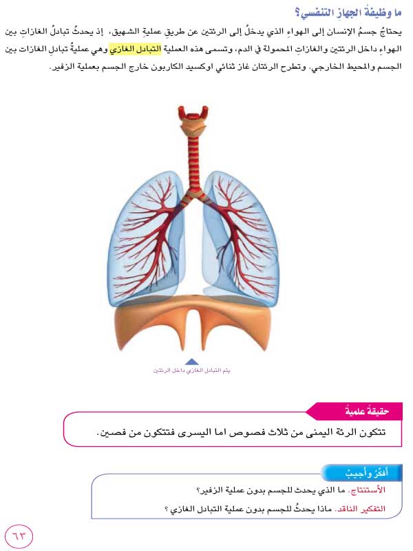 ما وظيفة الجهاز التنفسي (قناة دروس وتعليم) - جهاز التنفس وصحته 