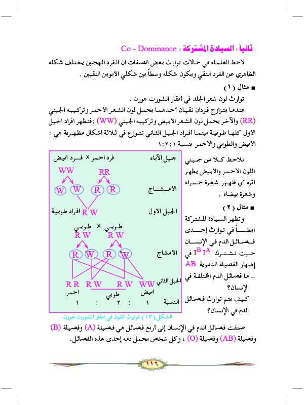 دور الكروموسومات في الوراثة