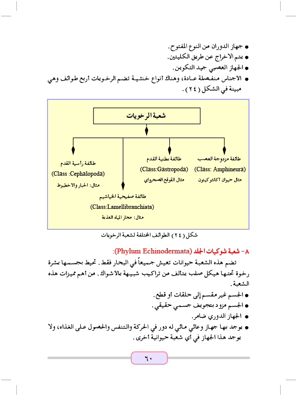 المملكة الحيوانية