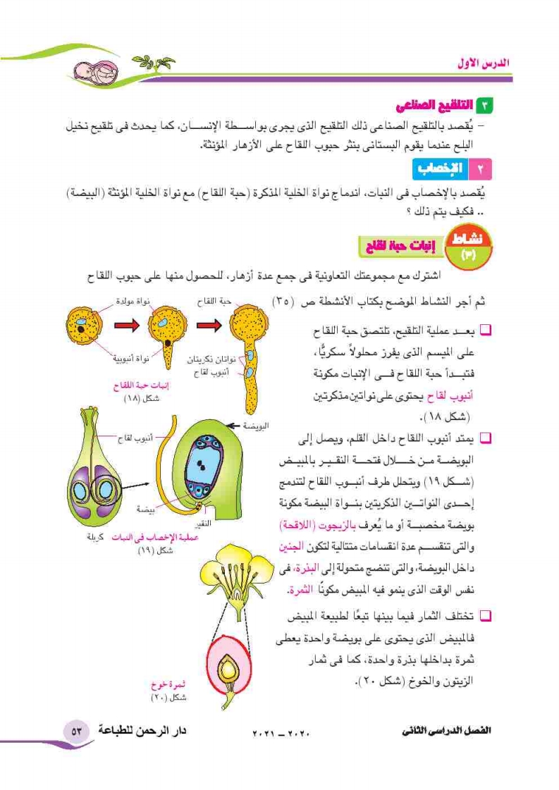 االدرس الأول: التكاثر في النبات