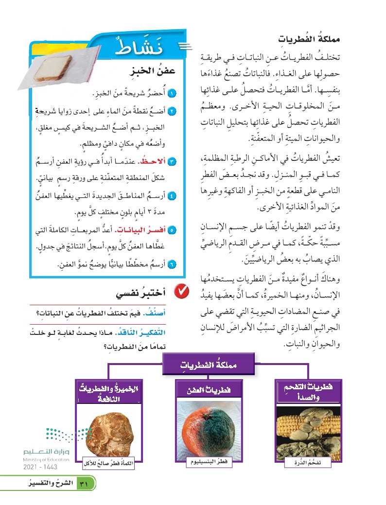 كيف تختلف النباتات عن باقي المخلوقات الحيه