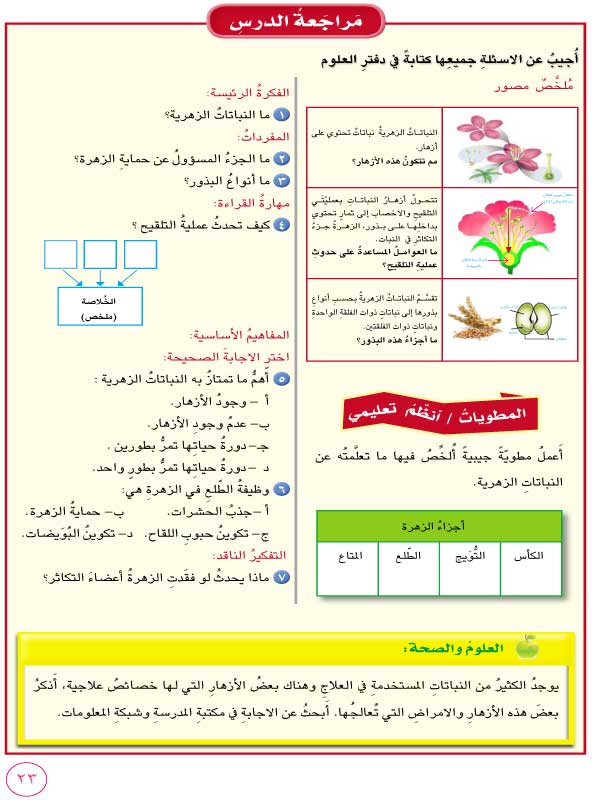 النباتات الزهرية علوم خامس ابتدائي المنهج العراقي