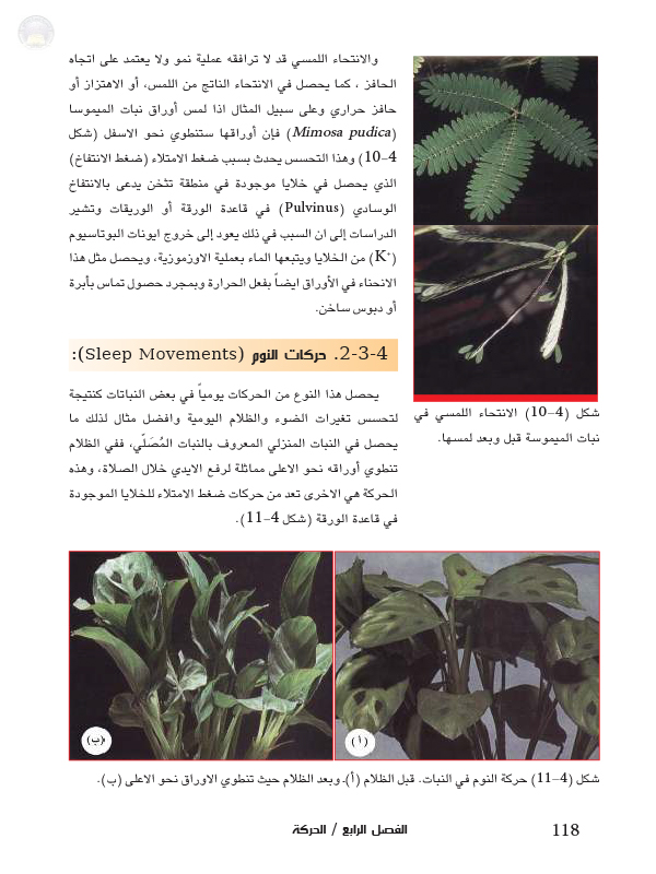 4-3 الحركة في النباتات