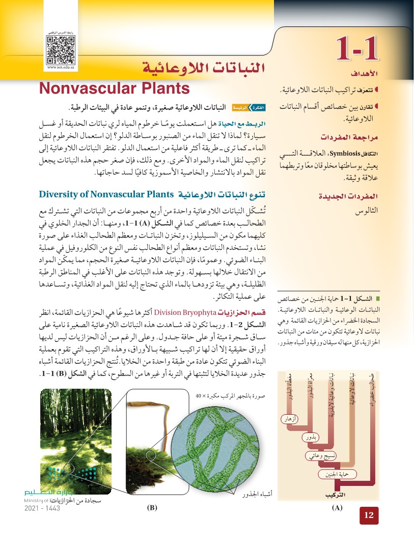 1-1 النباتات اللاوعائية