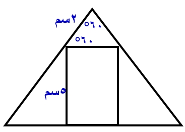 صورة السؤال