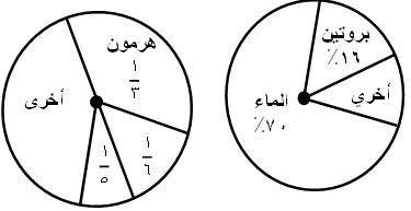 صورة السؤال
