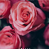 Meral 1111